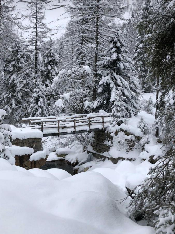 Casa All'Alpe Anzino Eksteriør bilde