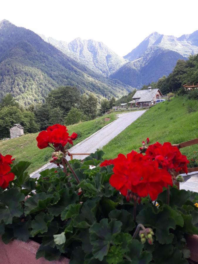 Casa All'Alpe Anzino Eksteriør bilde