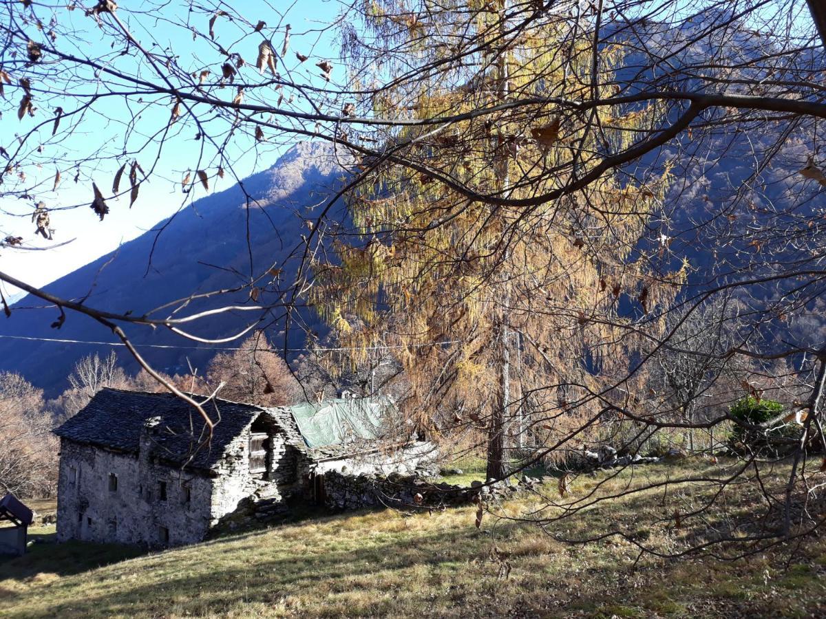 Casa All'Alpe Anzino Eksteriør bilde